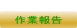 作業報告